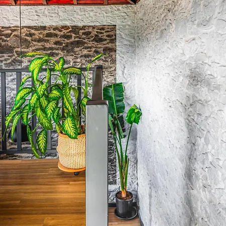 Meerblick - Exklusives Loft Mit Terrassen & Hot-tub Semesterbostad